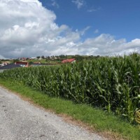 pozemok_or_jasenica pozemok_or_jasenica