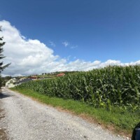 pozemok_or_jasenica pozemok_or_jasenica